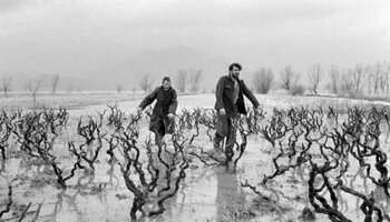 Film screenshot, 2 men weaving through small trees in icy swamp